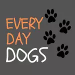 everydaydogs-1