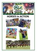 Horses image